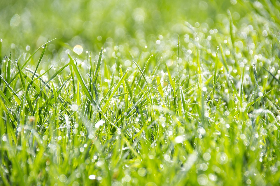 green energy