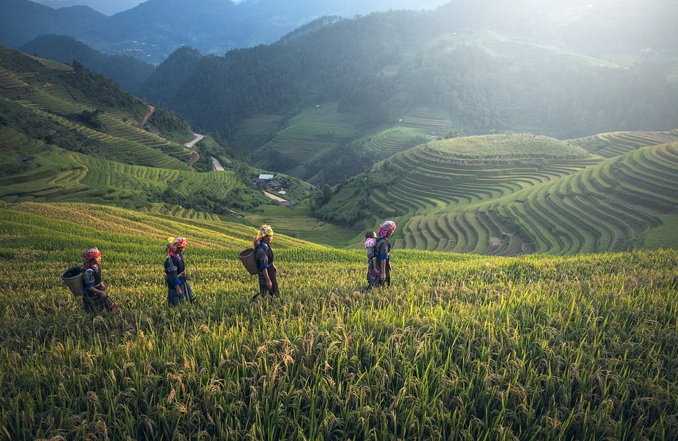 farming and gardening