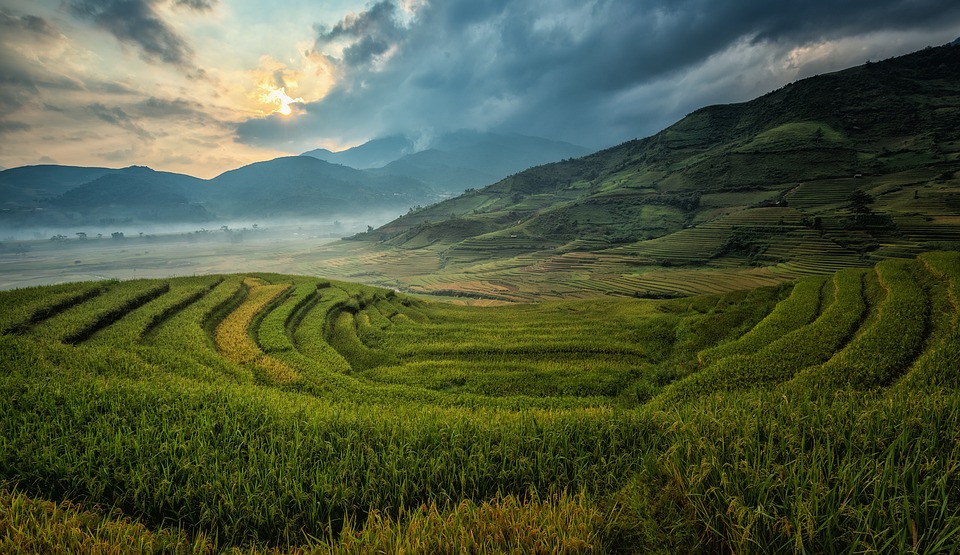 farming and gardening