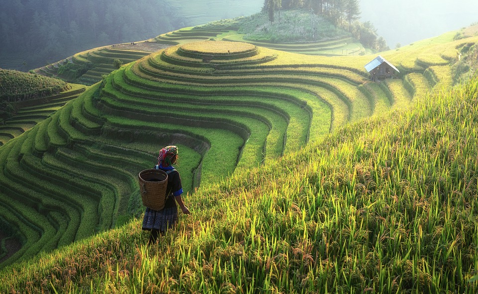farming and gardening