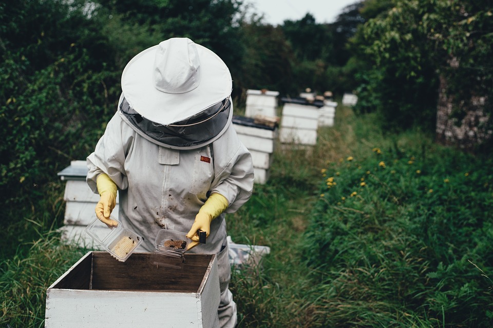 farming and gardening