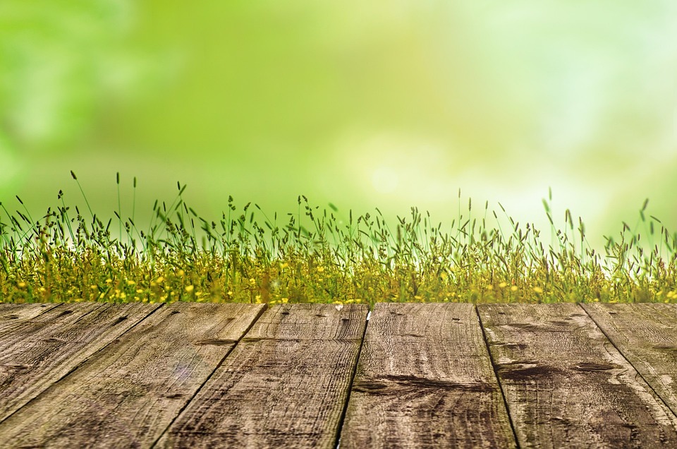 farming and gardening