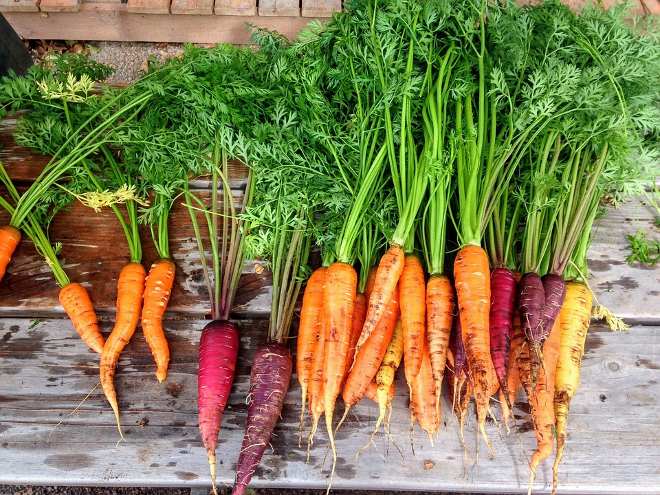farming and gardening