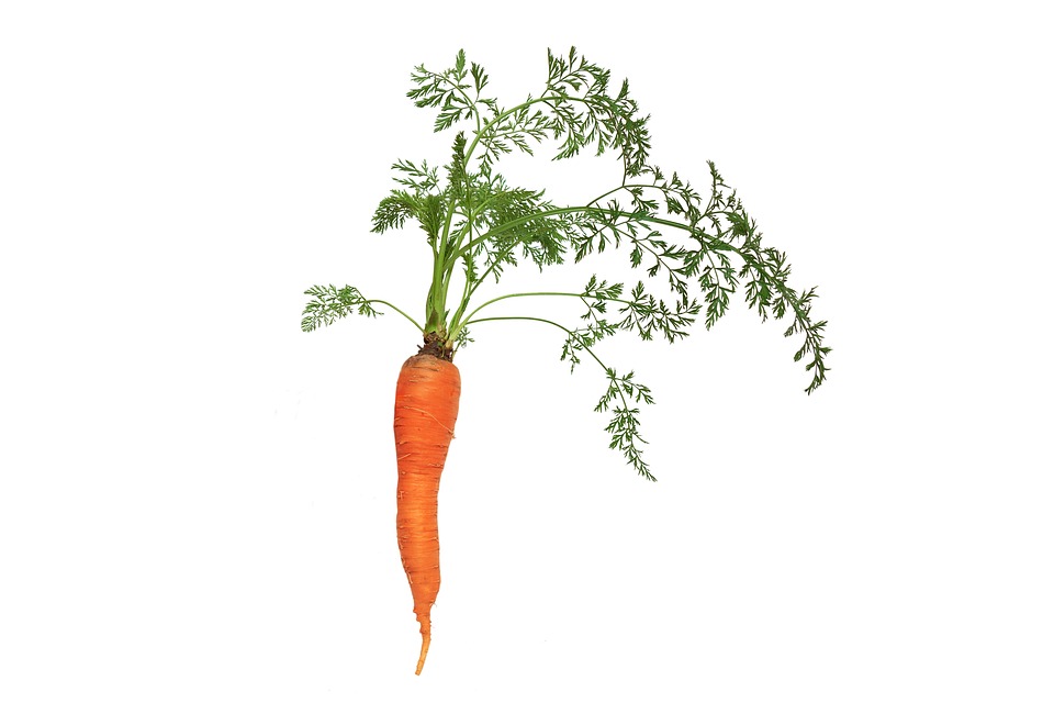 farming and gardening