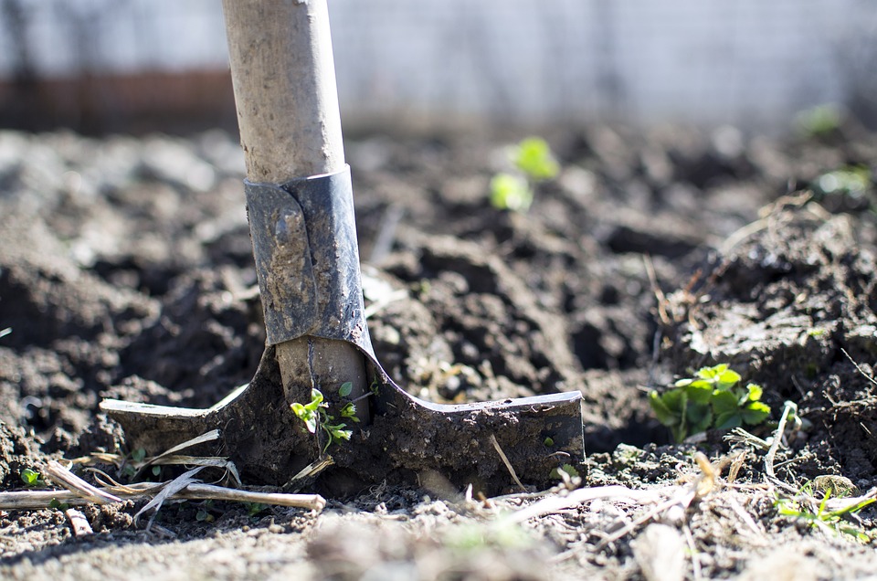 farming and gardening