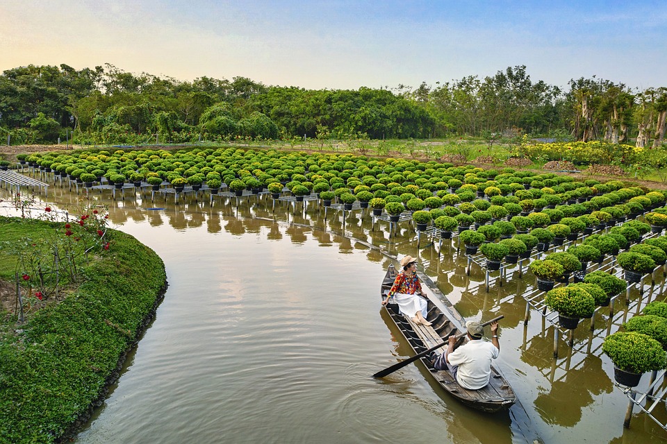 farming and gardening