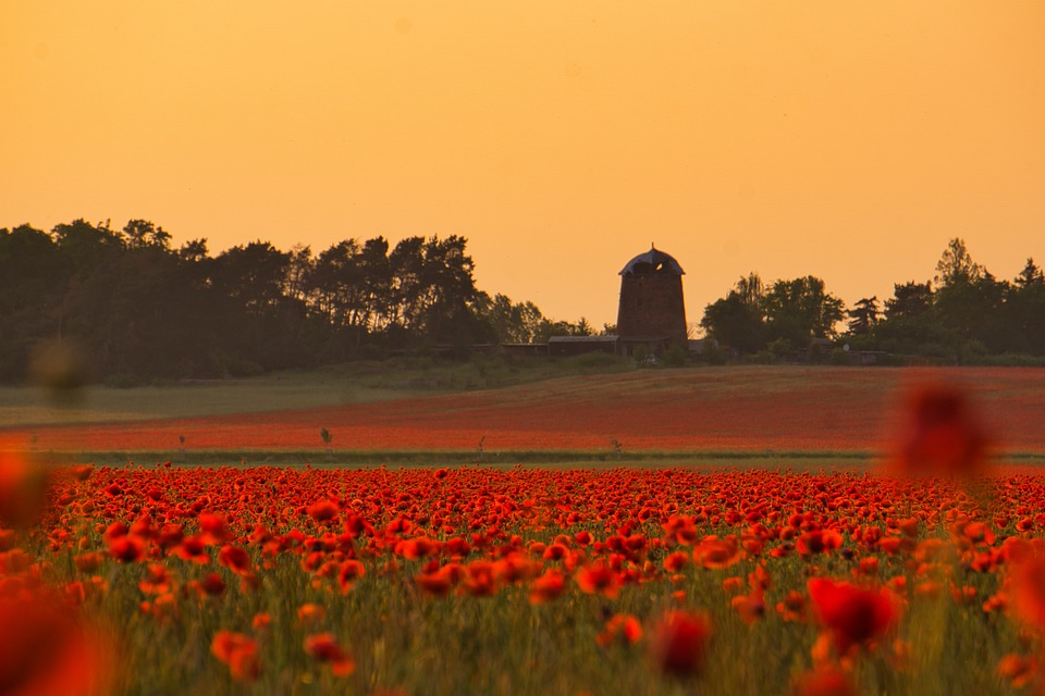 farming and gardening
