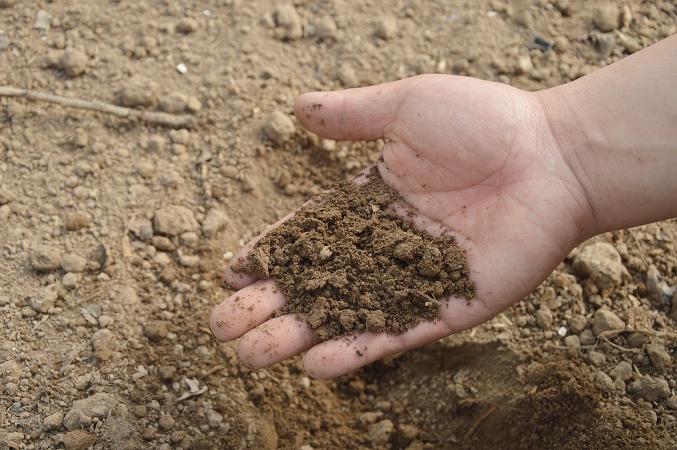 farming and gardening