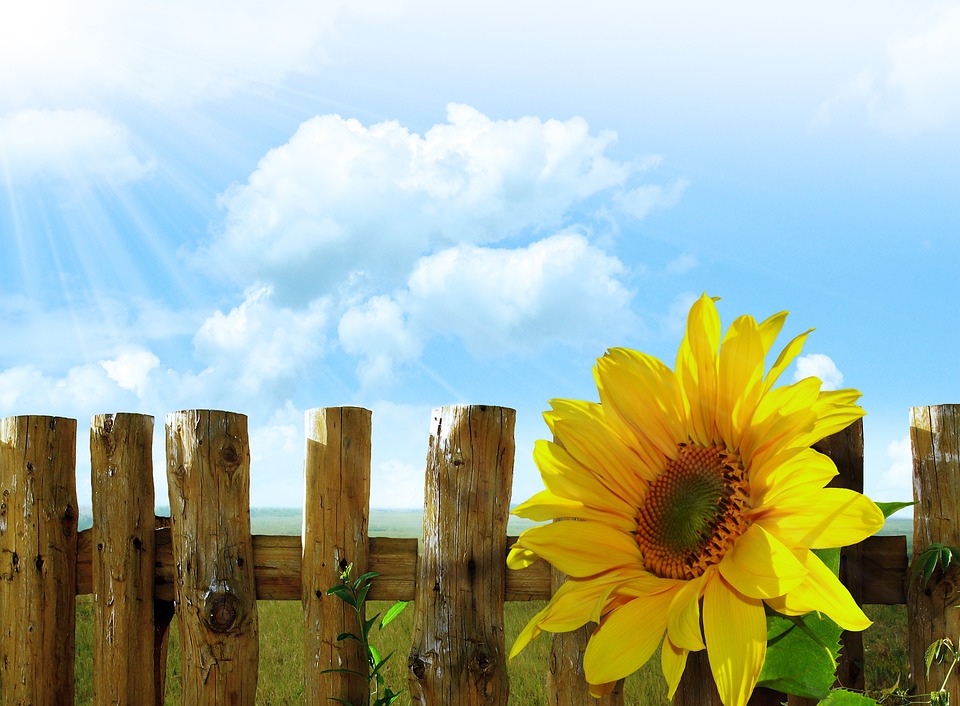 farming and gardening