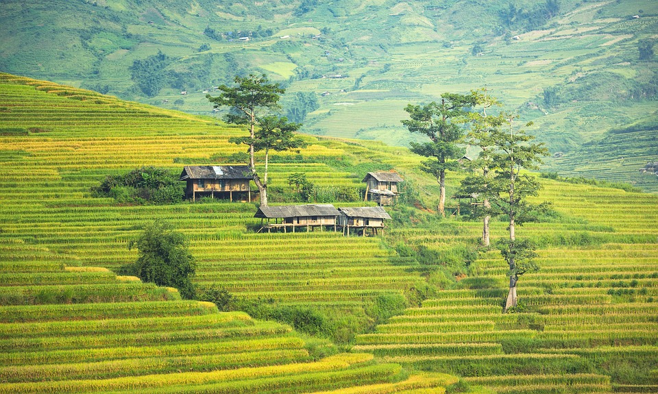 farming and gardening