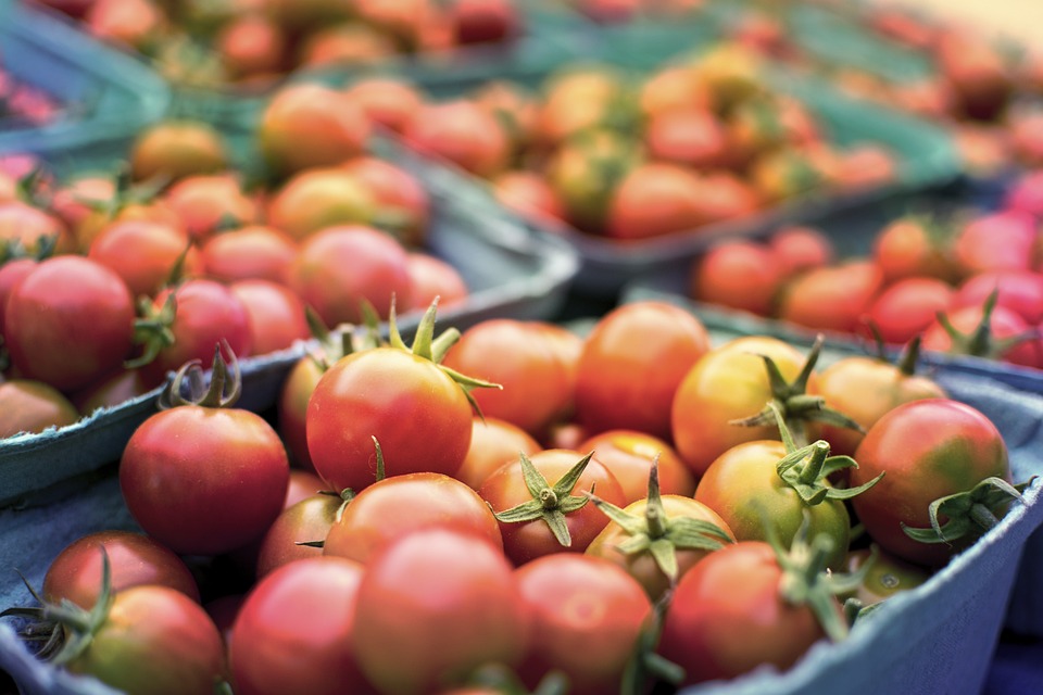 farming and gardening