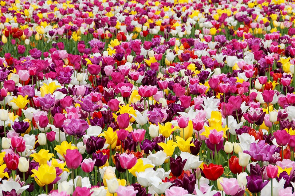 farming and gardening