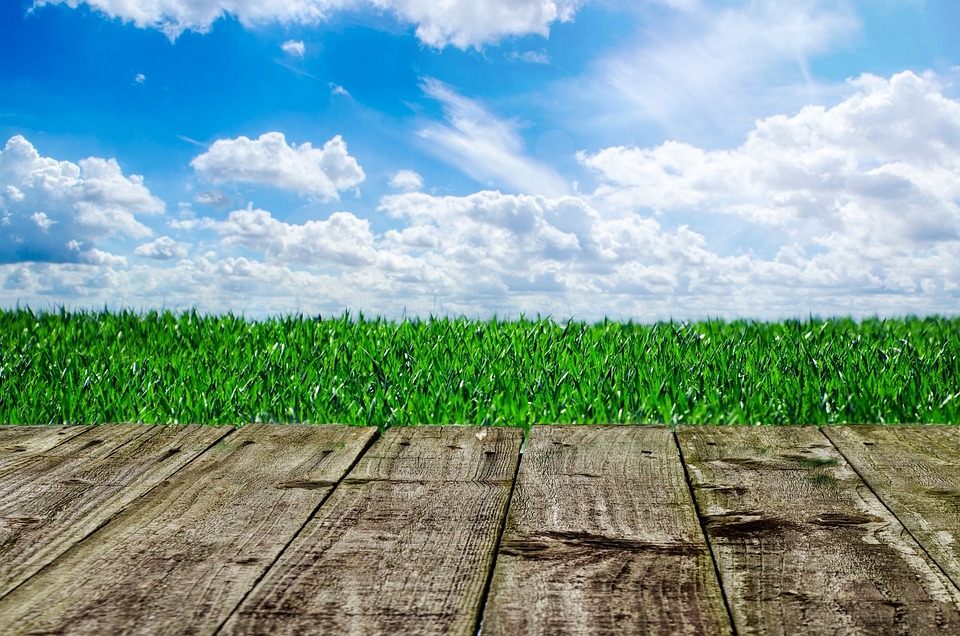 farming and gardening