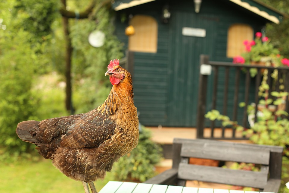 farming and gardening