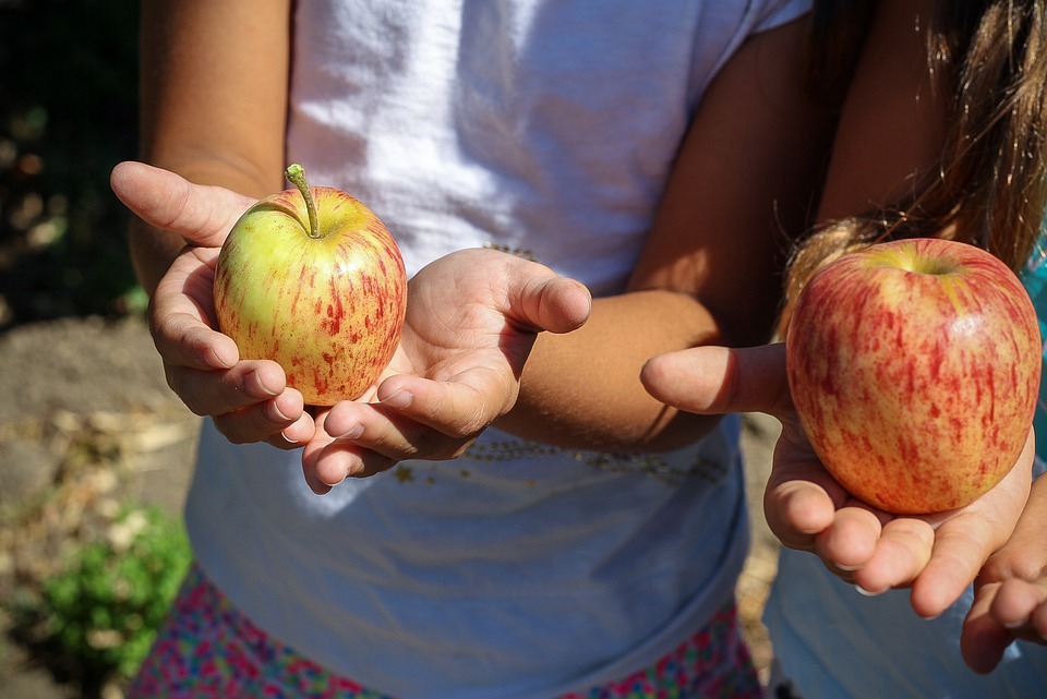 farming and gardening