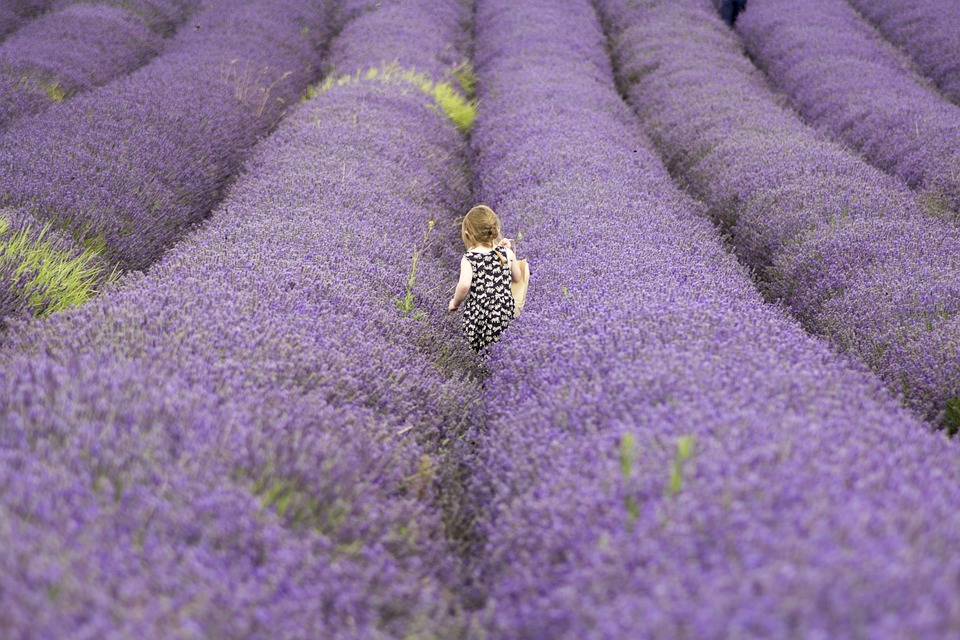 farming and gardening