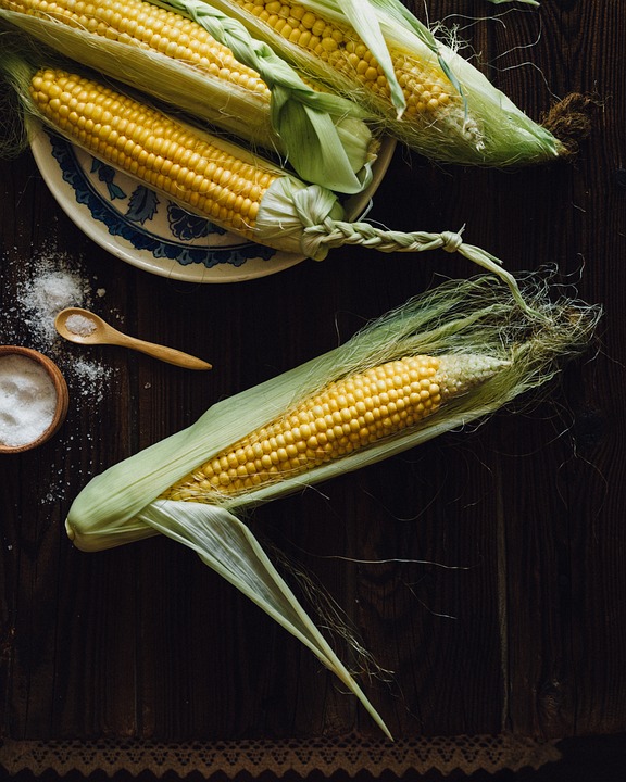 farming and gardening