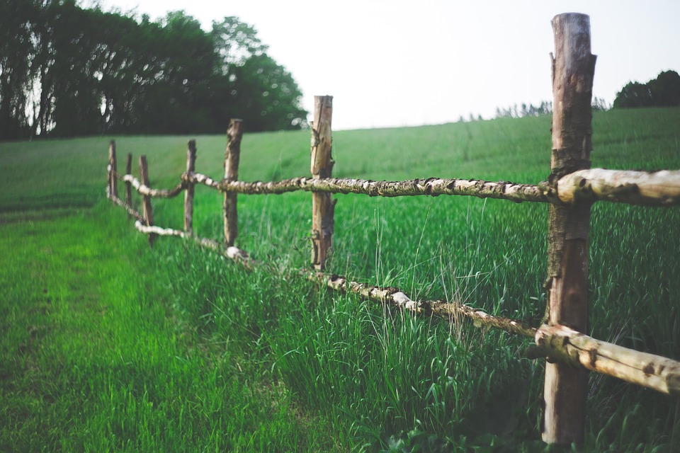 farming and gardening