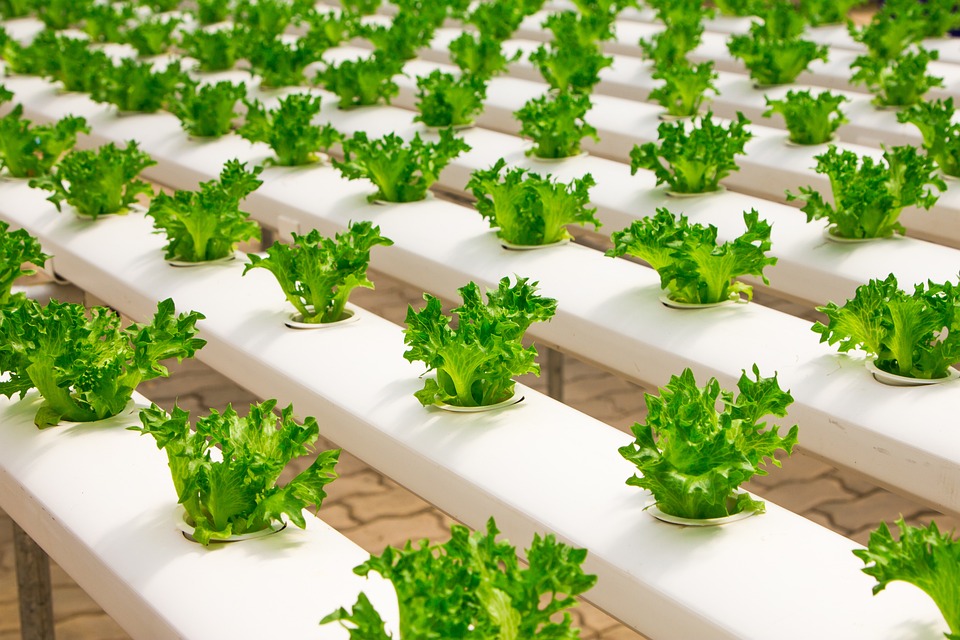 farming and gardening