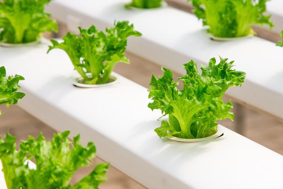 farming and gardening