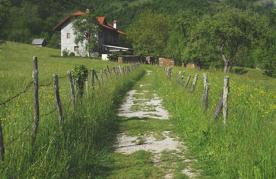 farming and gardening