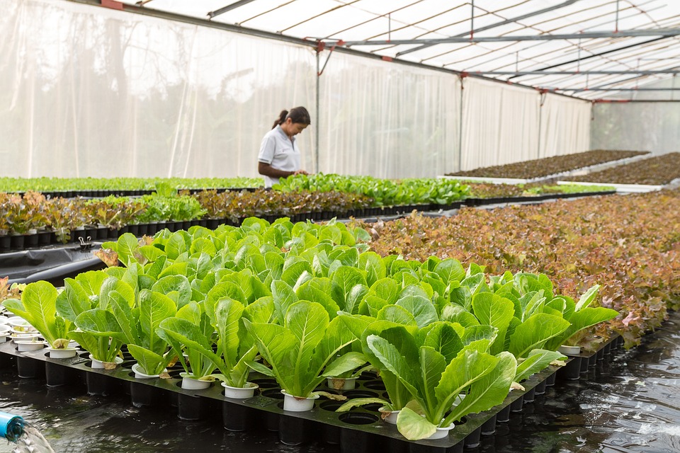 farming and gardening
