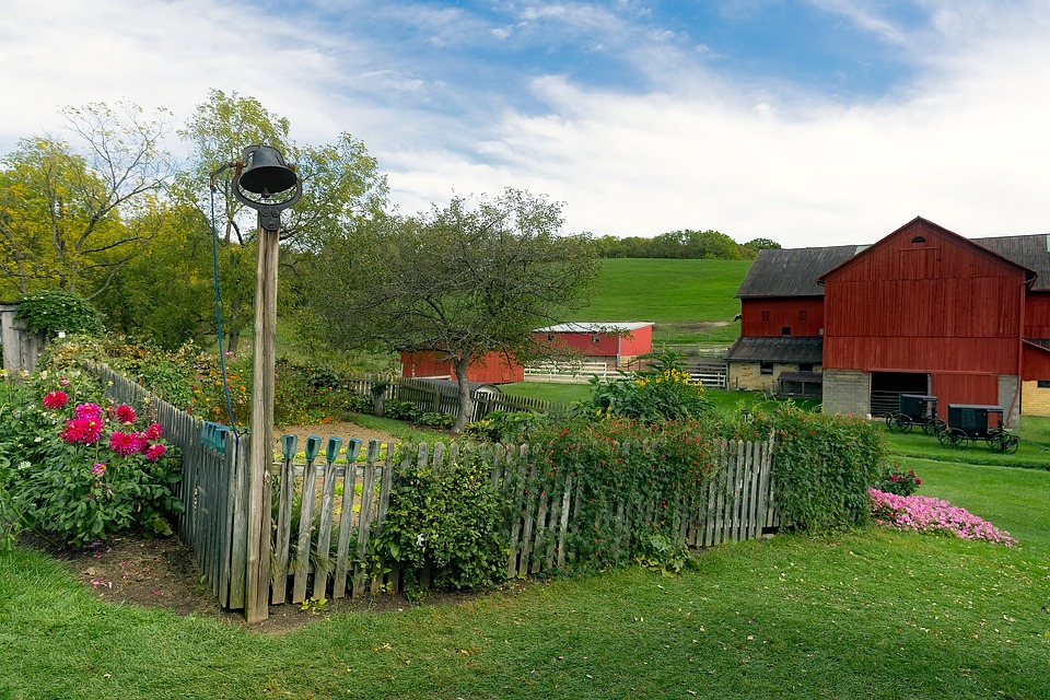 farming and gardening