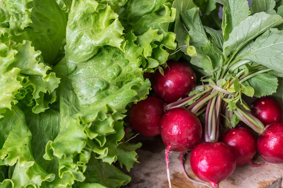 farming and gardening