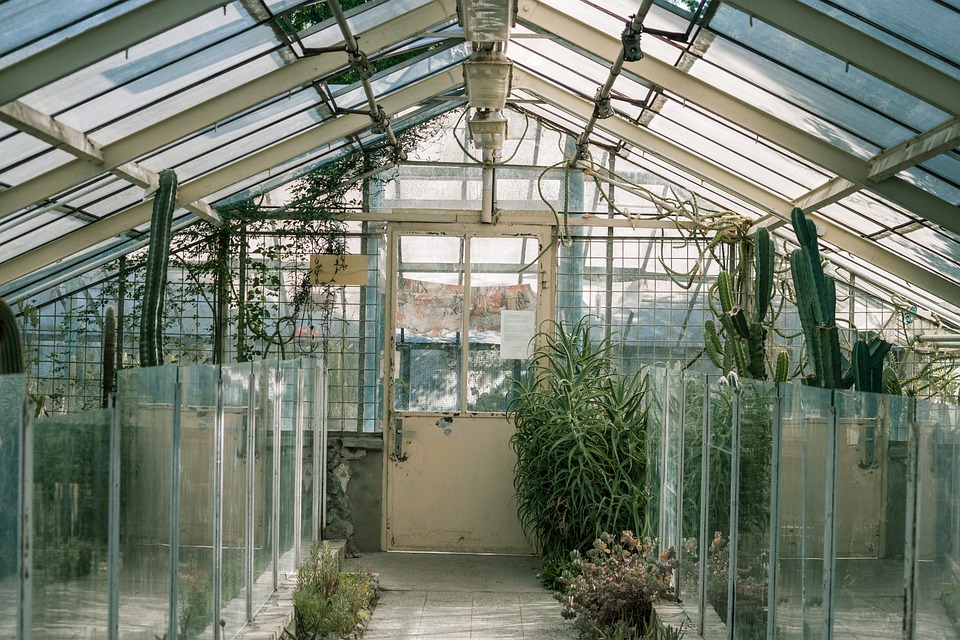 farming and gardening