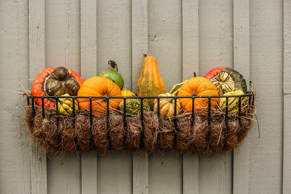 farming and gardening