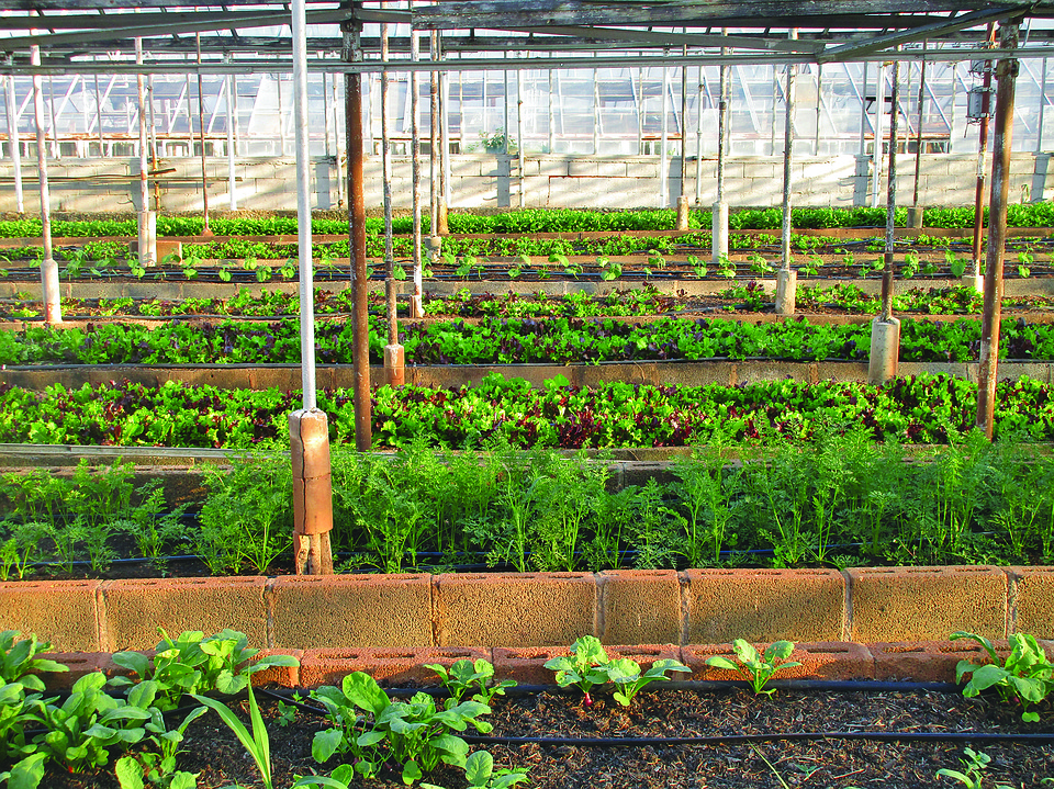 farming and gardening