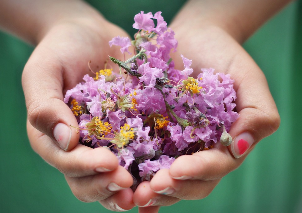 farming and gardening