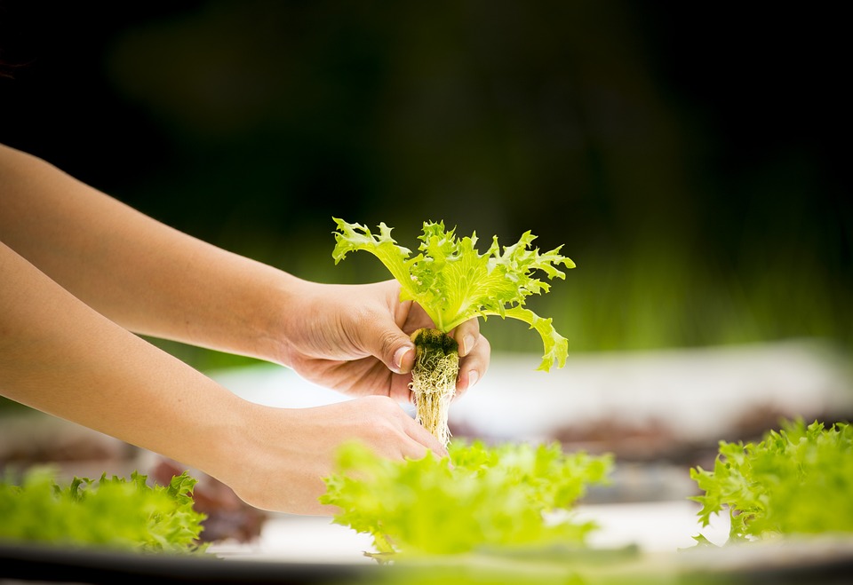 farming and gardening