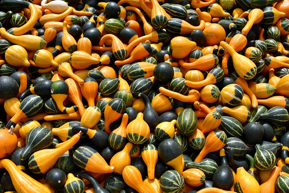 farming and gardening