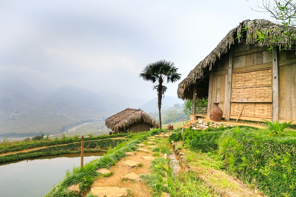 farming and gardening
