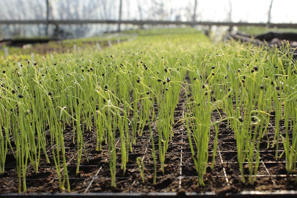 farming and gardening