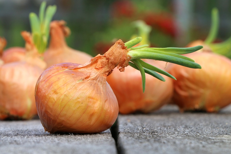 farming and gardening