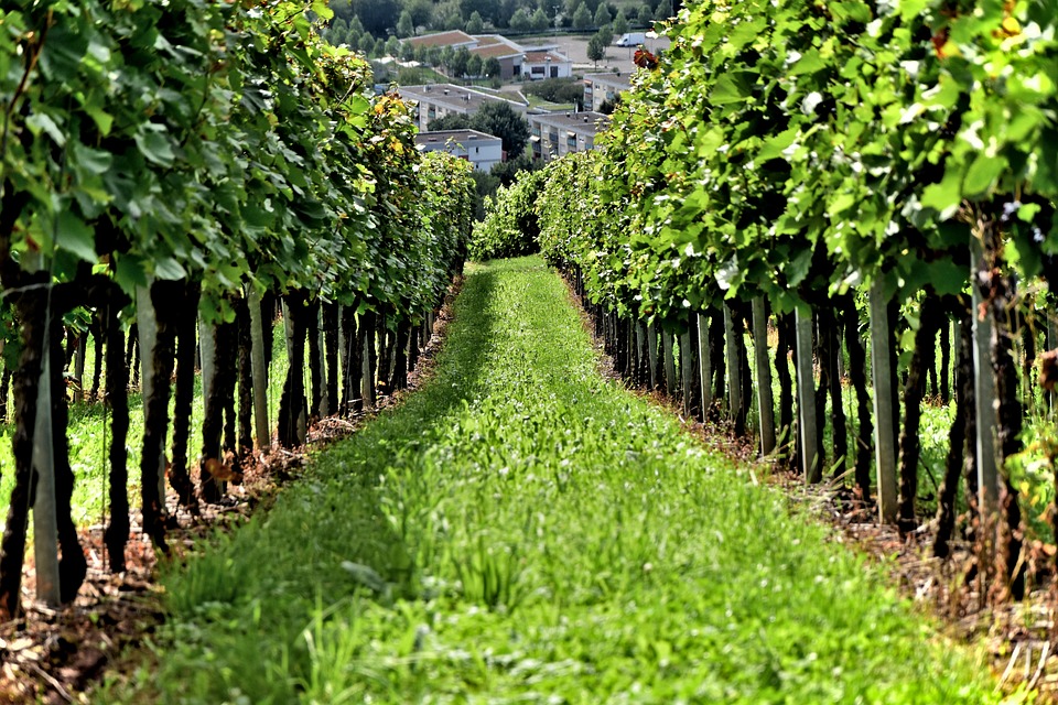 farming and gardening