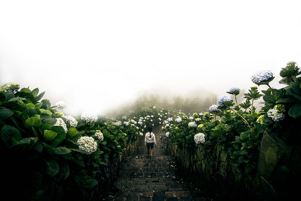 farming and gardening
