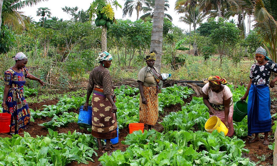 farming and gardening