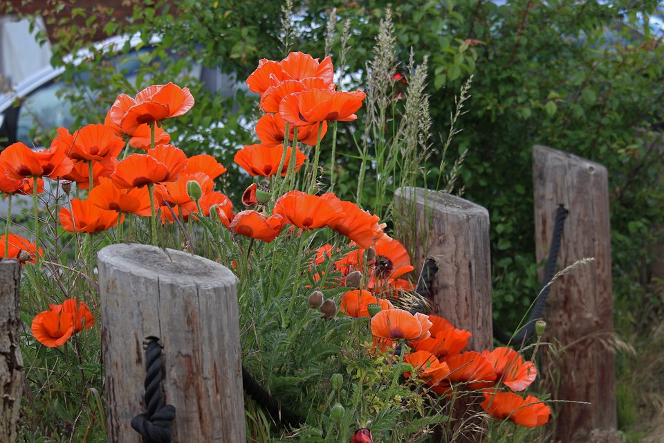 farming and gardening