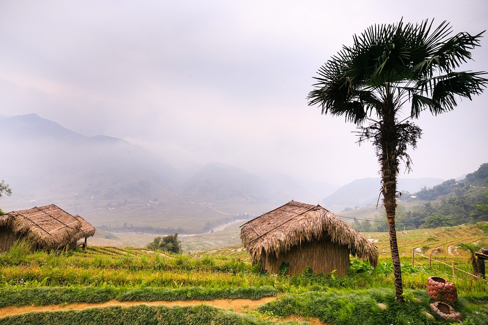 farming and gardening