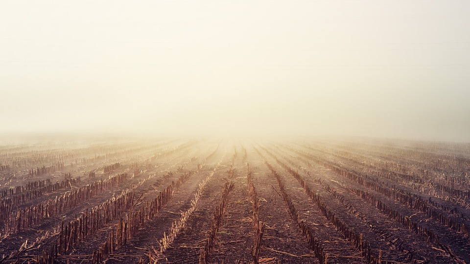 farming and gardening