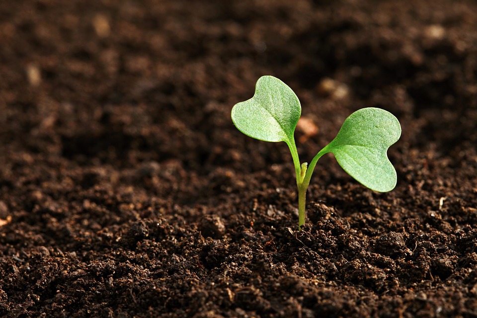 farming and gardening