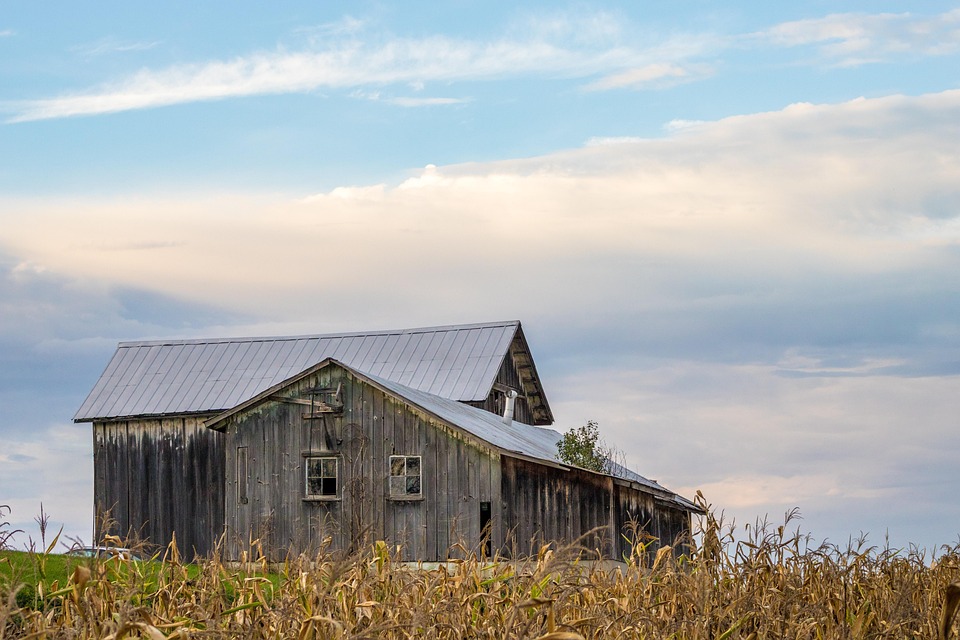 farming and gardening