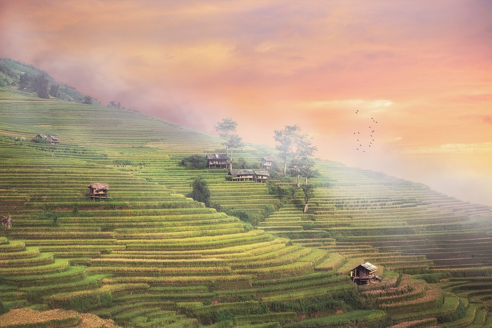 farming and gardening