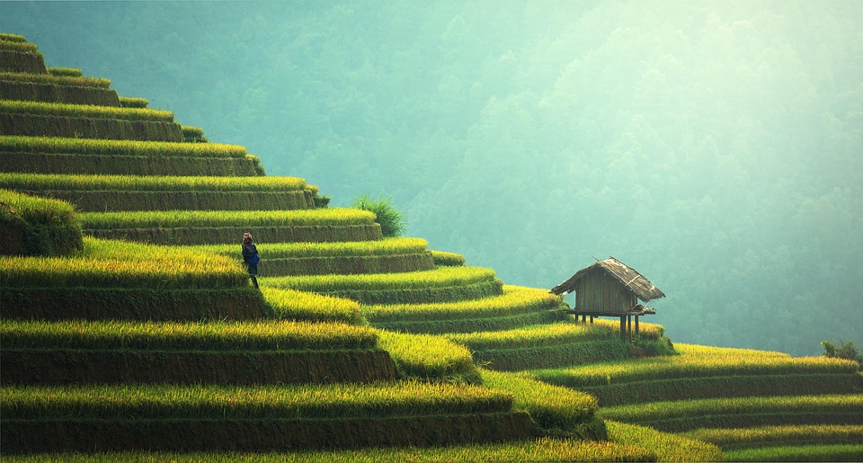farming and gardening