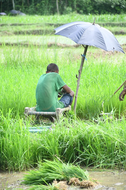farming and gardening