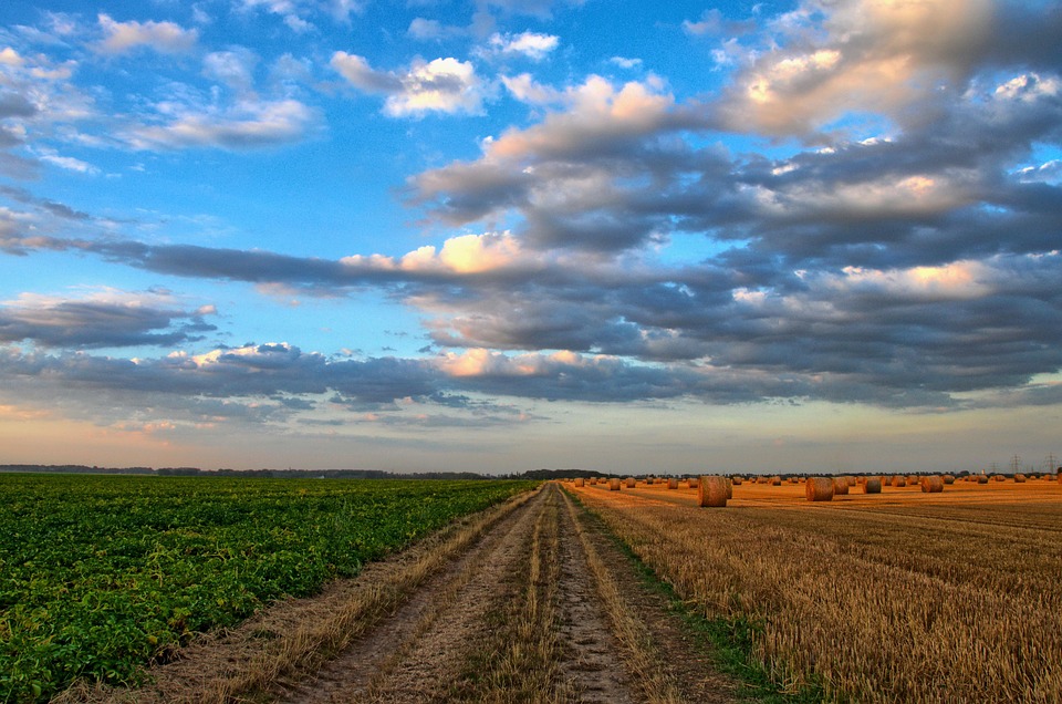 farming and gardening
