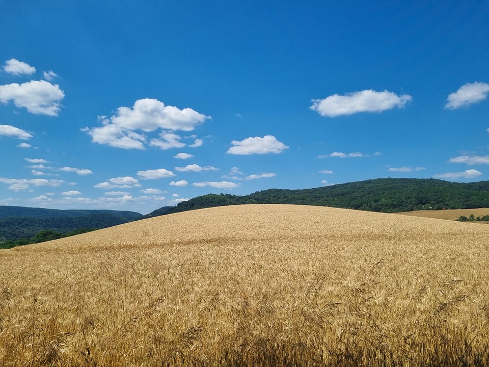 farming and gardening